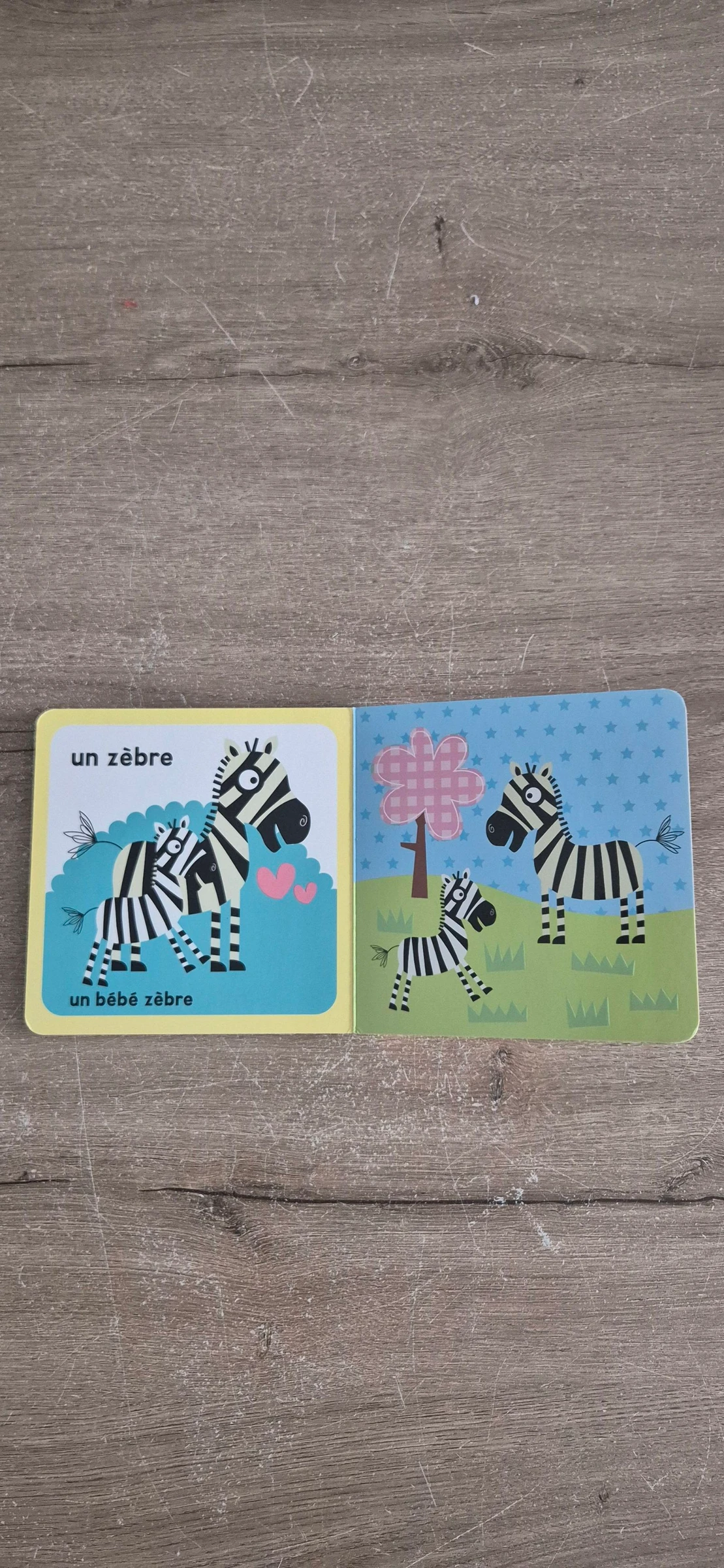 Libro Madres y bebés animales – photo 8